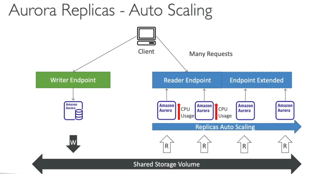 aurora-auto scaling