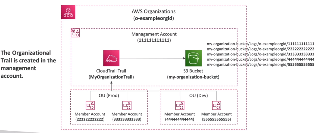 image-20230202054456250